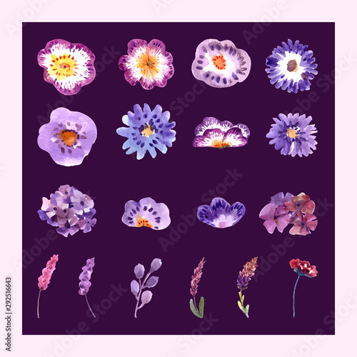 isolate set of flowers for Illustration