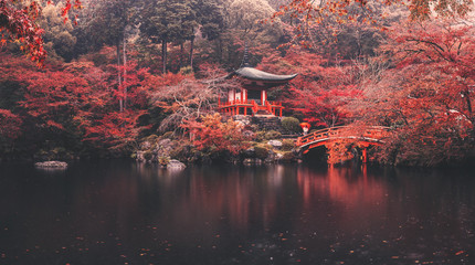 daigo-ji temple in autumn season at japan