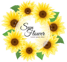 Sunflower Invitation. Yellow Flowers Card Design. Vector Illustration. Sunflower Frame