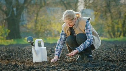 Wall Mural - Young woman farmer working in his garden, planting seeds in the soil