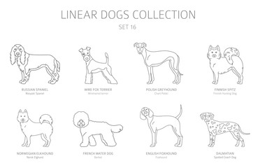 Wall Mural - Simple line dogs collection isolated on white. Dog breeds. Flat style clipart set