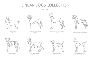 Wall Mural - Simple line dogs collection isolated on white. Dog breeds. Flat style clipart set