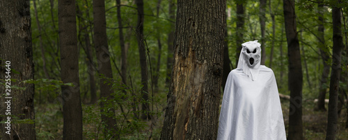 ghost in white in a mystical forest Tableau sur Toile