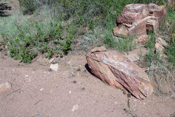 Wall Mural - Boulders at the base of a Colorado mountain. Bokeh.
