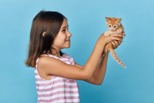 Smiling Girl Holding Her Nice Cat In Hands, Close Up Side View Photo, Isolated Blue Background, Studio Shot