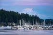 © adonis_abril - Mount Rainier Looming over Gig Harbor Washington