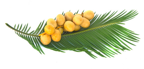 Wall Mural - A bunch of fresh dates on palm leaf