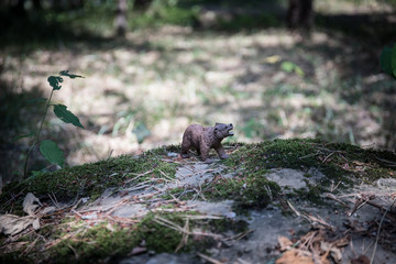 Brown bear walking in forest. Mini bear figure (or toy bear) at the park.