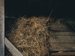 Wooden barn with hay bale coming out. Hay bale, wheat for farm animals. Wood texture, food, dry.