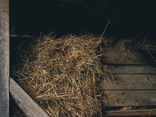 Wooden Barn With Hay Bale Coming Out. Hay Bale, Wheat For Farm Animals. Wood Texture, Food, Dry.