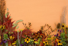Horizontal Flat Lay Of Fall-colored Leaves, Seedheads, Flowers, And Berries On Orange Background, With Copy Space