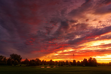 Wall Mural - sunset in the park