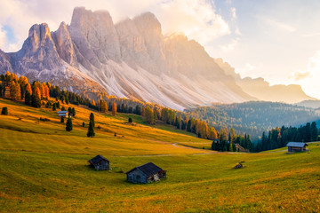 Beautiful autumn colors at the foot of the Odle Mountains in the backdrop of the Seceda Mountains at sunset in the Dolomites, Trentino Alto Adige, Val di Funes Valley, South Tyrol