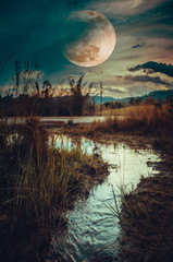 Wall Mural - landscape at night time in the forest lake and darkness sky super moon in the background.