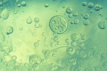 Wall Mural - Abstract Green water bubbles background