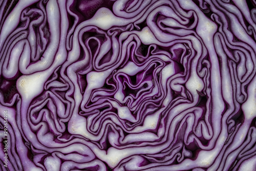 Background of the blue cabbage in the cut. Close up, top view. Texture raw purple cabbage - obrazy, fototapety, plakaty 
