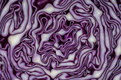Fotomural Background of the blue cabbage in the cut