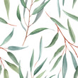 Watercolor australian floral vector pattern