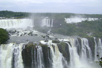 Canvas Print - brasil