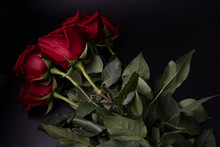 A Bouquet Of Dark Red Roses Is Shown In The Photo On A Dark Background. Can Be Used As A Postcard
