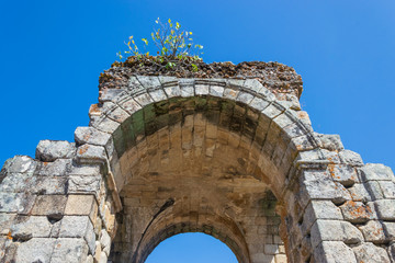 Wall Mural - Roman Ruins of Caparra (Extremadura, Spain)