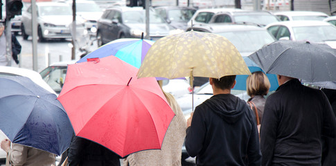  People under umbrellas waiting at pedestrian street crossing in a busy street on a rainy day in the city