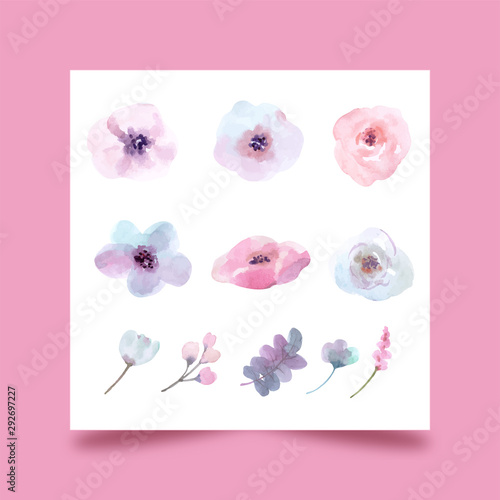 Vectors, isolated set watercolor flowers foe design
