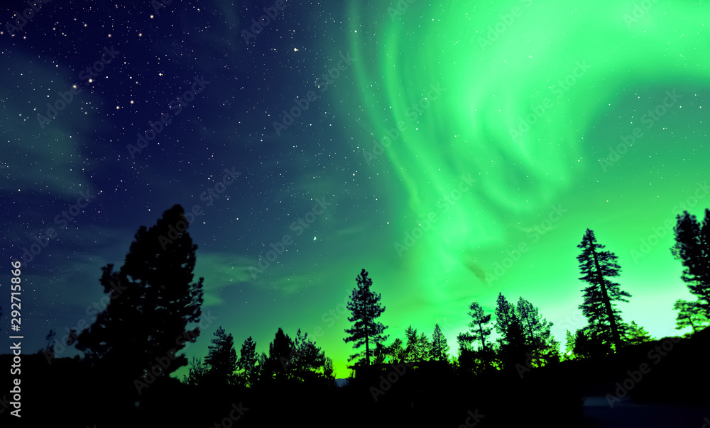 Northern lights aurora borealis over trees Stock Photo | Adobe Stock