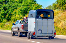 Pickup Wehicle With Horse Trailer On The High Way