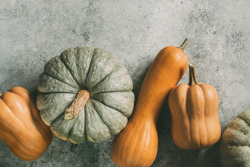 Wall Mural - different pumpkins on wooden surface with copy space.