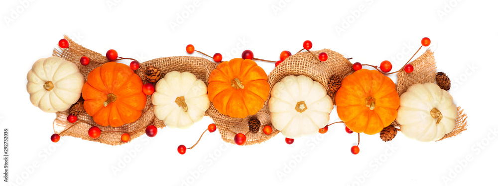 Autumn border of orange and white pumpkins, red berries and burlap. Top ...