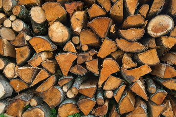 Natural background with firewood