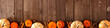 Autumn bottom border banner of pumpkins and fall decor on a rustic wood background with copy space