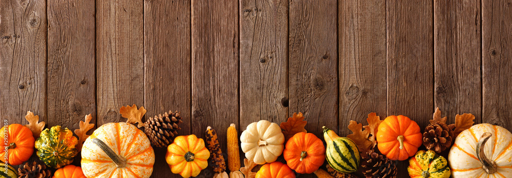 Autumn bottom border banner of pumpkins, gourds and fall decor on a rustic wood background with copy space - obrazy, fototapety, plakaty 
