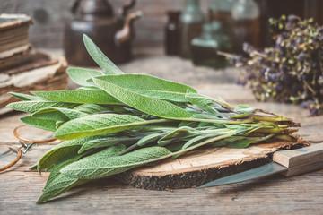 Wall Mural - fresh sage, medicinal herbs, books, tea kettle and glass bottles of essential oil and tincture on ba
