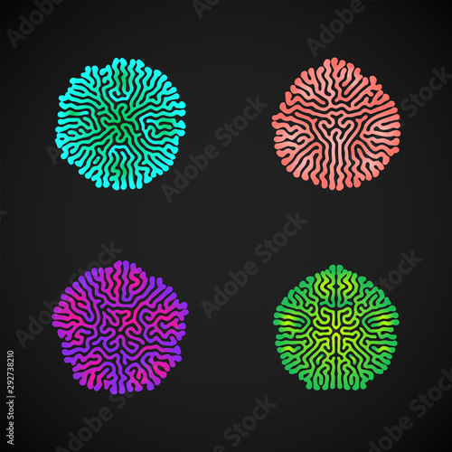 Cuadros en Lienzo turing morphogenesis reaction diffusion element.