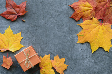 Wall Mural - autumn composition. maple leaves and gift box. flat lay, top view