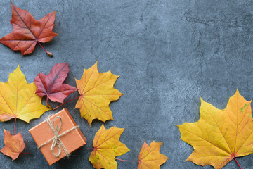 Wall Mural - autumn composition. maple leaves and gift box. flat lay, top view