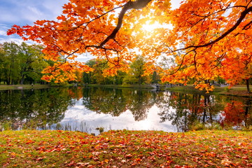 golden autumn (fall) in alexander park, tsarskoe selo (pushkin), saint petersburg, russia