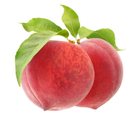 Fototapete - isolated peaches. Two pink peach fruits hanging on a branch isolated on white background with clipping path