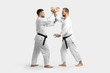 © Maygutyak - Two caucasian men are practicing aikido on the tatami (isolation path included)