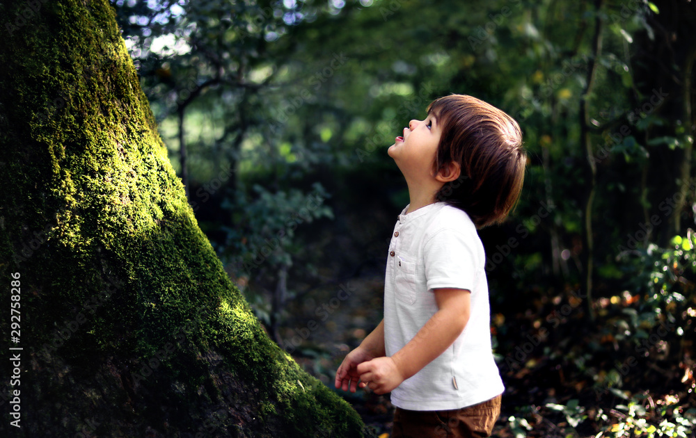 Cute little curious boy standing in deep dark forest at old tree covered with green moss looking up waiting for magic. Inquisitive childhood. - obrazy, fototapety, plakaty 