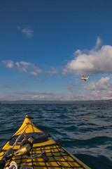 Lago di Bolsena in kayak