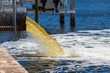 © Sunshower Shots - Raw untreated yellow water or sewage being pumped into a blue lake - Hollywood, Florida, USA