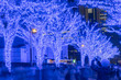 Shibuya Blue Cave winter illumination festival, beautiful view, popular tourist attractions, travel destinations for holiday, famous romantic light up events in Tokyo city, Japan