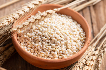 Wall Mural - Raw peeled barley grains  (Hordeum vulgare)