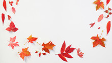 Red Autumn Leaves On White Background