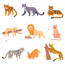 Set Of Wild Cats. Vector Illustration On A White Background.
