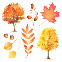 Tree And Leaves In Autumn Colors. Watercolor Illustration Of Fall Foliage. Isolated.