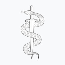 Snake With Dagger. Vector Illustration Isolated On White Background. Line Design, Editable Stokes